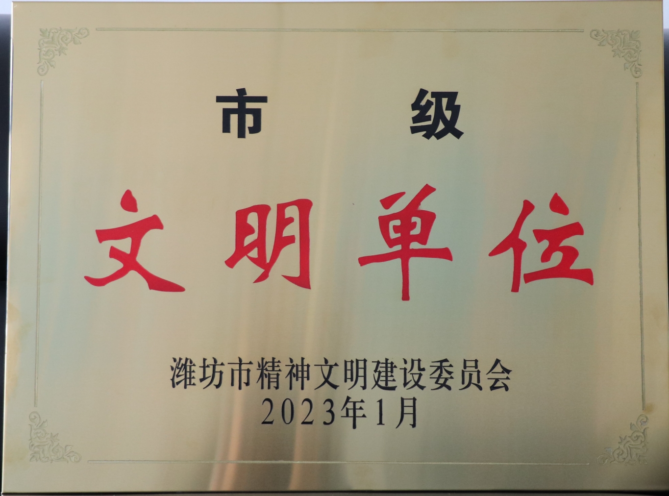 3.濰坊市文明單位.jpg